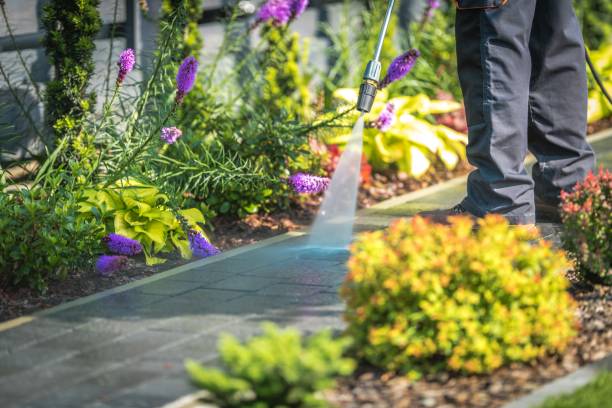  The Hills, NJ Pressure Washing Pros